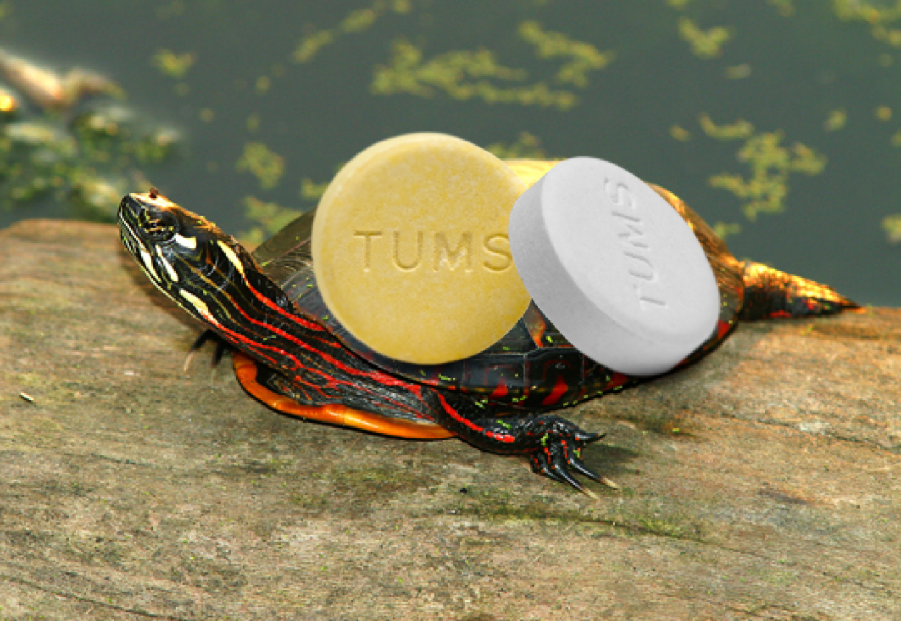 tums